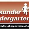 Netzwerk "Gesunder Kindergarten"