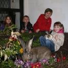 Die Stadtgemeinde Enns wünscht Frohe Ostern!