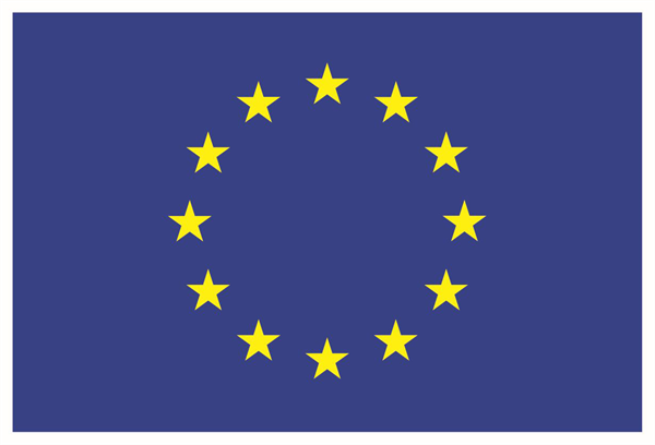 Logo EMW EU